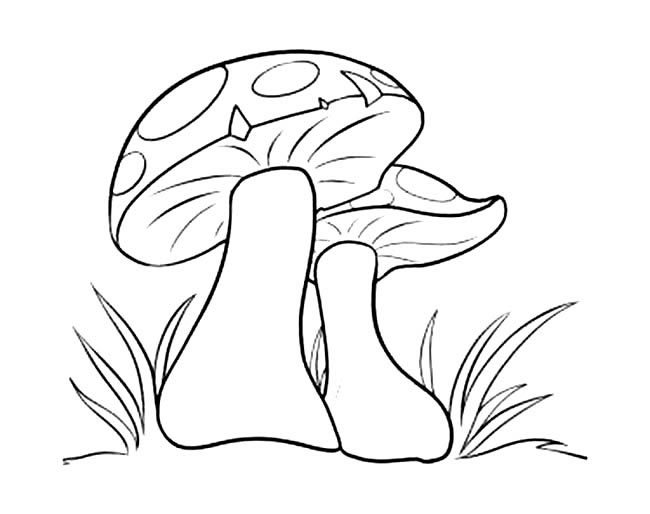 簡(jiǎn)單好看的蘑菇簡(jiǎn)筆畫(huà)