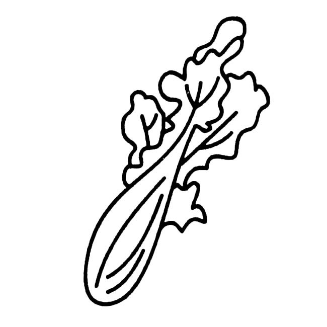 一棵青菜簡筆畫