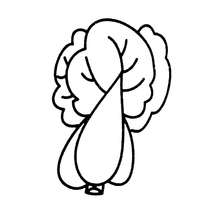 大白菜兒童簡筆畫