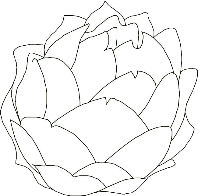 卷心菜兒童簡筆畫