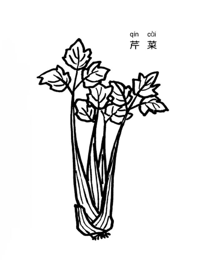 芹菜簡筆畫