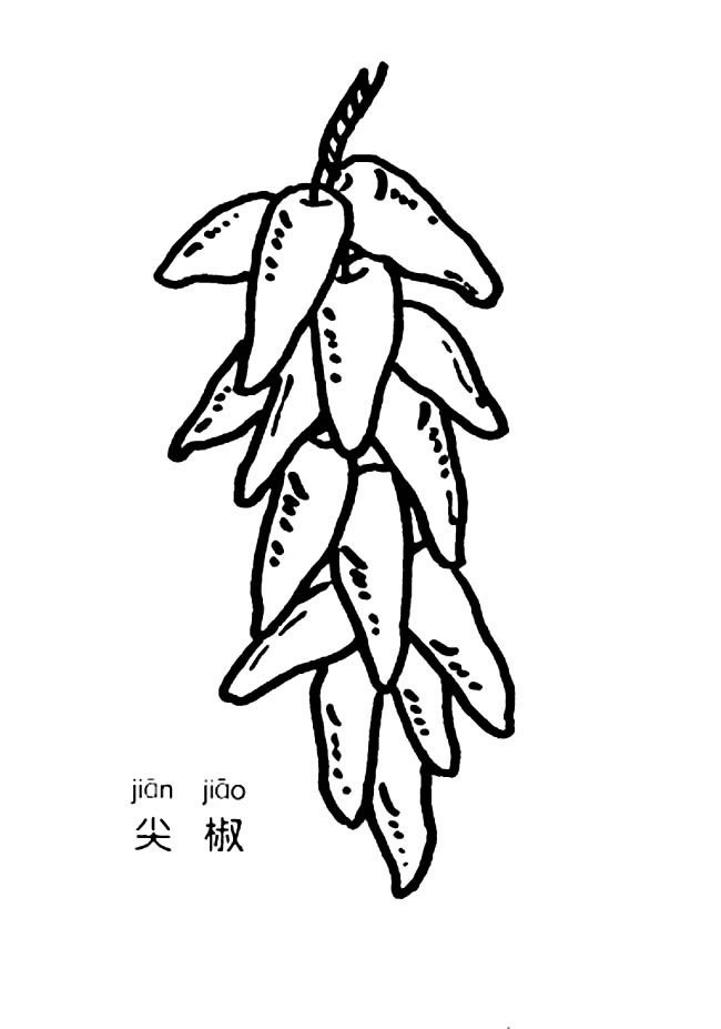 一串辣椒簡筆畫