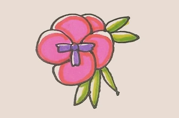 三色堇簡(jiǎn)筆畫的畫法