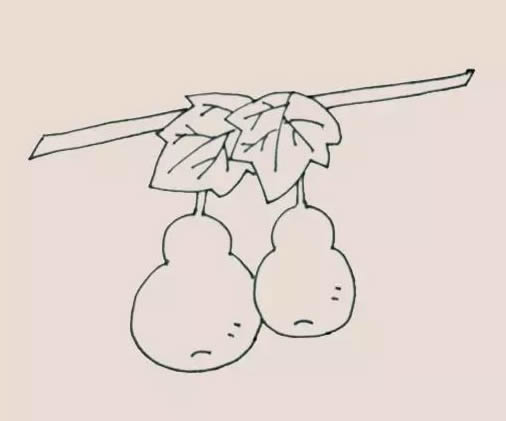 掛在藤上的葫蘆簡筆畫