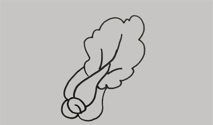 青菜怎么畫