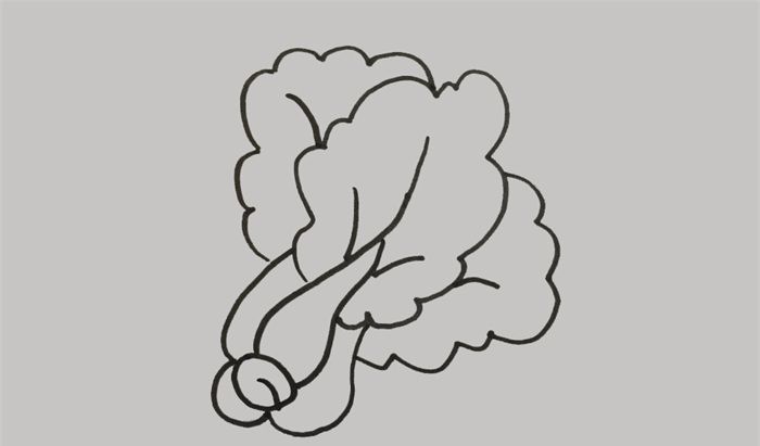 青菜怎么畫