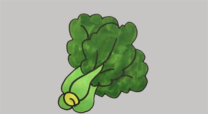 青菜怎么畫